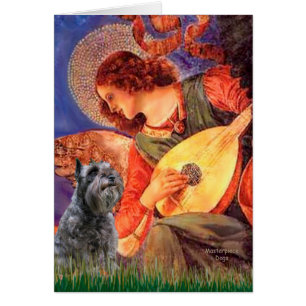 Schnauzer 12 - Ángel Mandolina