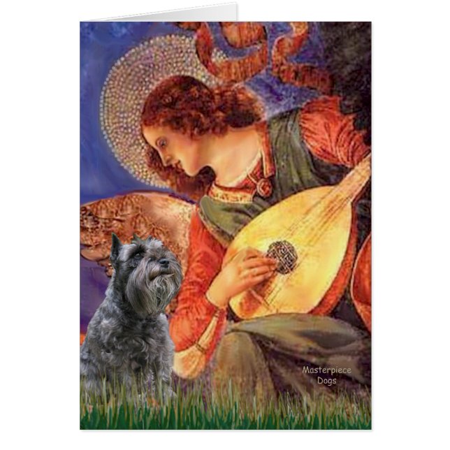 Schnauzer 12 - Ángel Mandolina (Frente)