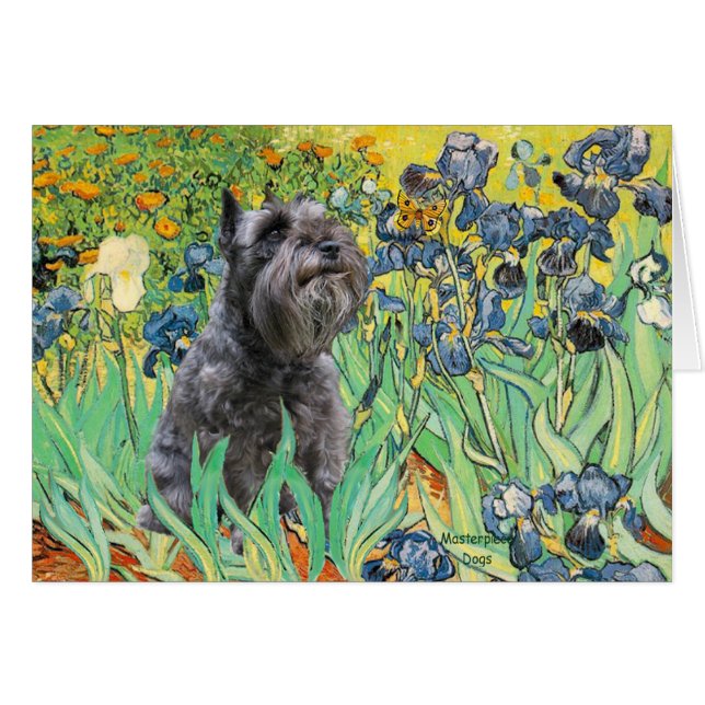 Schnauzer 12 - Lirios (Anverso (Horizontal))