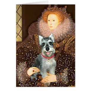 Schnauzer 8cr - Reina