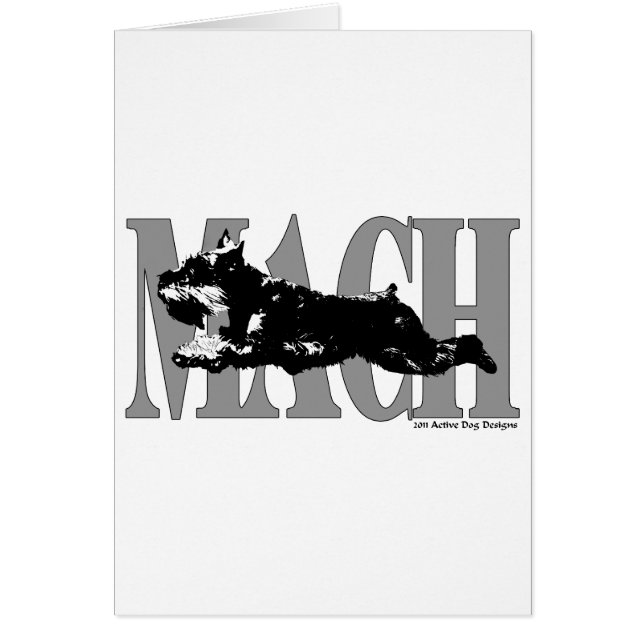 Schnauzer del MACH (Frente)