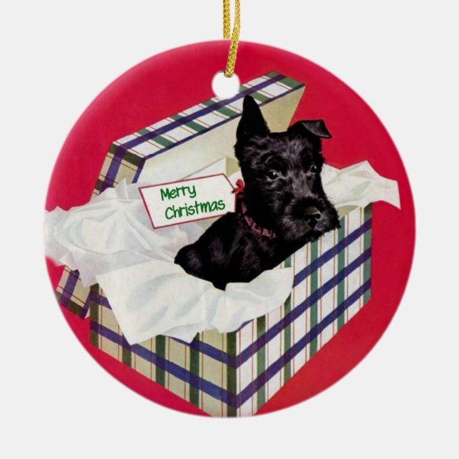 Schnauzer en un ornamento de la caja de regalo (Frente)