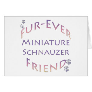 Schnauzer Furever en miniatura