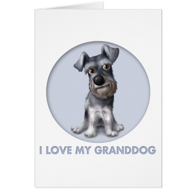 Schnauzer Granddog (Frente)