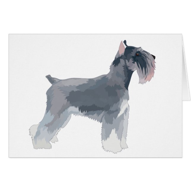 Schnauzer gris (Anverso (Horizontal))