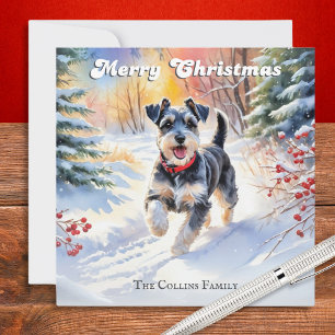 Schnauzer Miniatura en Navidad con Nieve