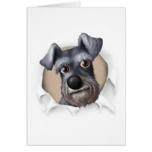 Schnauzer que revienta hacia fuera