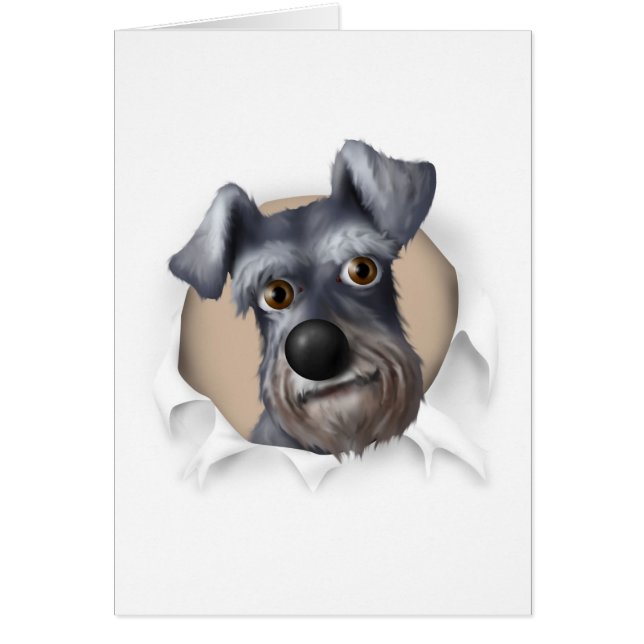 Schnauzer que revienta hacia fuera (Frente)