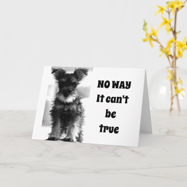 SCHNAUZER TODAVÍA PARECE 69 NO "70!!!" TARJETA (flor amarilla)
