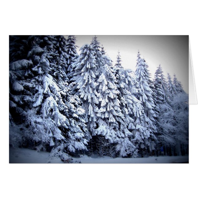 Schnee (Anverso (Horizontal))