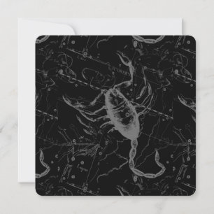 Scorpio Constellation Hevelius 1690 en negro