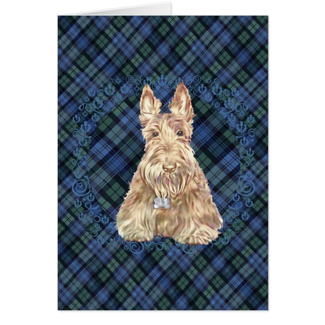 Scottie de tartán (Frente)