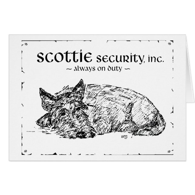 Scottie Sketch - ¿Seguridad? (Anverso (Horizontal))