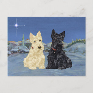 Scotties Negros Trigo Navidad