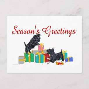 Scotties Ordenan los Regalos de Navidad
