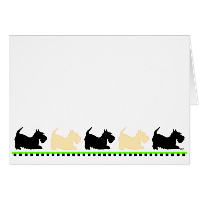 Scotties Todos en una Fila (Anverso (Horizontal))