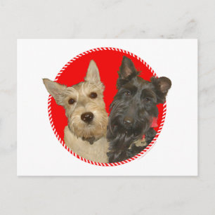 Scotties Trigueños y Negros de Navidad