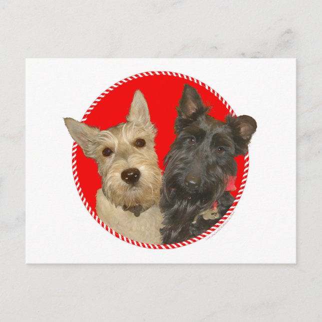 Scotties Trigueños y Negros de Navidad (Anverso)