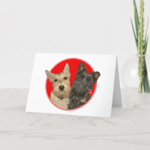 Scotties Trigueños y Negros de Navidad