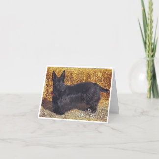 Scottish Terrier, tarjeta de notas