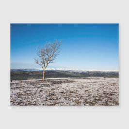 Scout Scar Winter Lake Distrct England