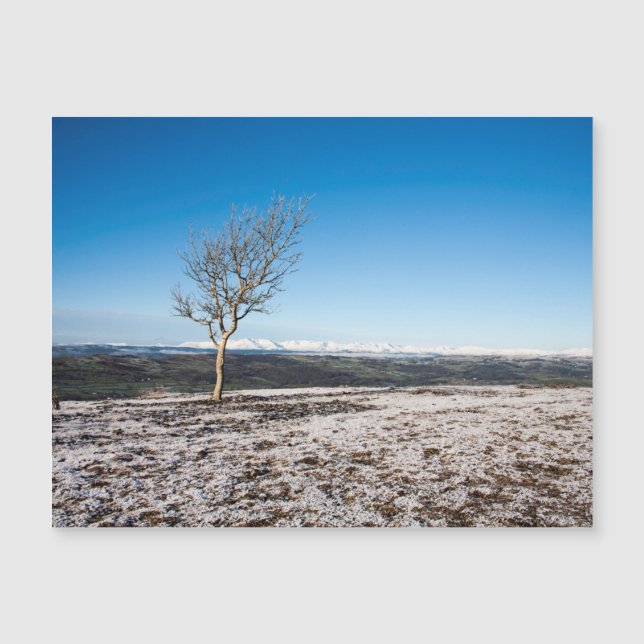 Scout Scar Winter Lake Distrct England (Anverso)