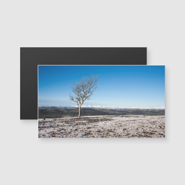 Scout Scar winter Lake District England (Anverso/Reverso)