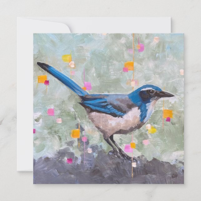 Scrub Jay (Anverso)