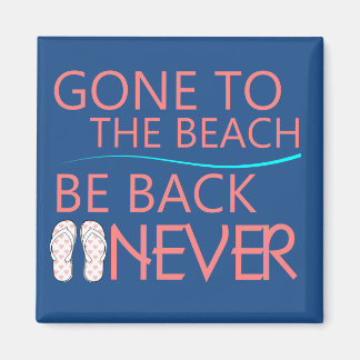 Se fue al imán de la playa