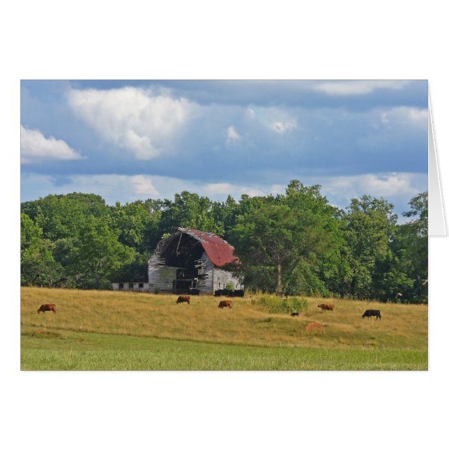 Se fue pero no se olvidó (Anverso (Horizontal))