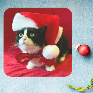 Se mete en la melodía a los pegatinas navideños de