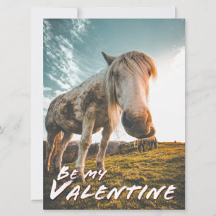Sé mi San Valentín con aspecto de caballo