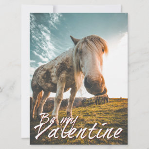Sé mi San Valentín con aspecto de caballo V2.0
