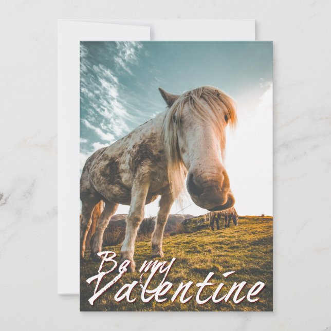 Sé mi San Valentín con aspecto de caballo V2.0 (Anverso)
