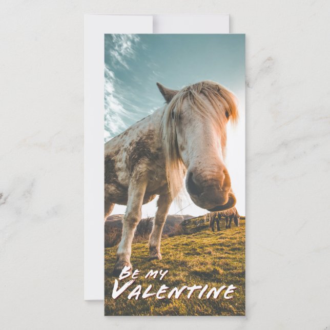 Sé mi San Valentín con caballo mirando (Anverso)
