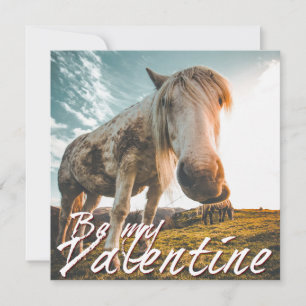 Sé mi San Valentín con caballo mirando V2.0