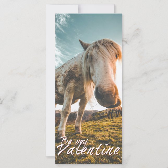 Sé mi San Valentín con caballo mirando V2.0 (Anverso)