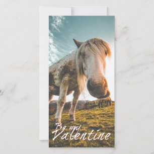 Sé mi San Valentín con caballo que mira V2.0