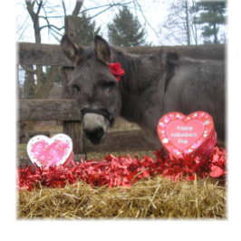 "¡Sé mi San Valentín!" Tarjeta de Navidad