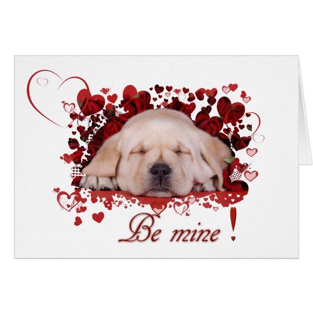 Sé mío (Anverso (Horizontal))