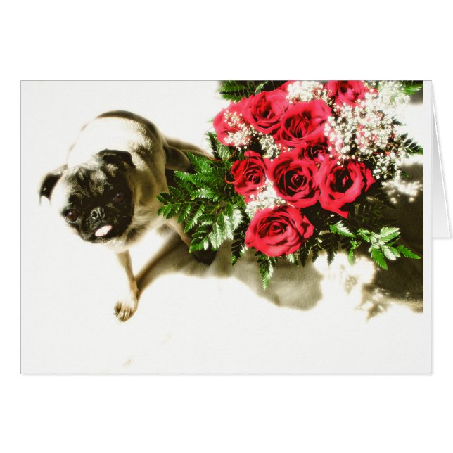 Sé mío (Anverso (Horizontal))