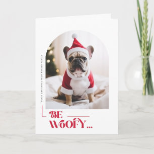 Sé Perro Divertido Mascota Arco Foto Navidad Doble
