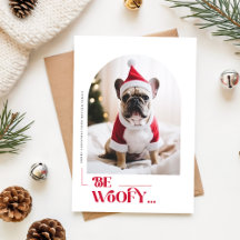 Sé Perro Divertido Perro Mascota Arco Foto Navidad
