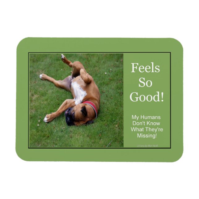 Se Siente Tan Buen Imán (Horizontal)