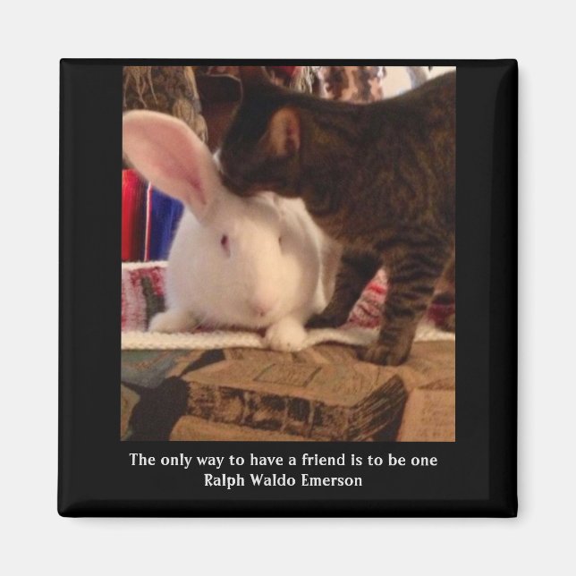 Sé un imán amigo (Frente)