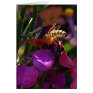 ¡Sé una abeja ocupada!