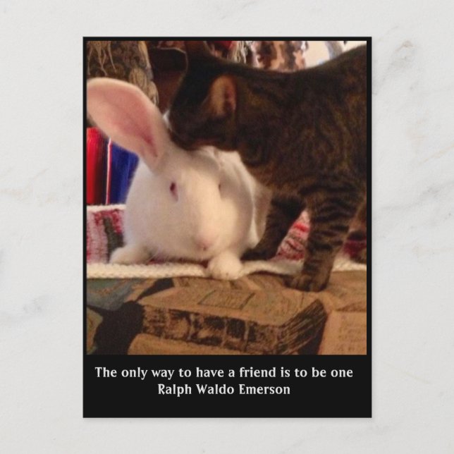 Sé una postal de amigo (Anverso)