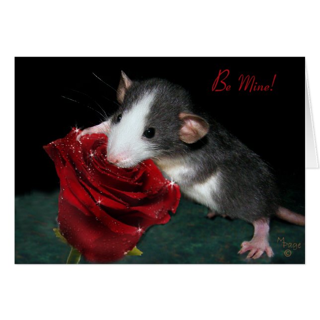 ¡Sea los míos! (Anverso (Horizontal))