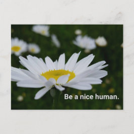 Sea Niza una postal humana