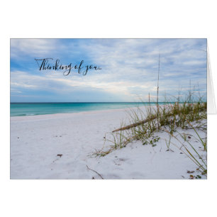 Sea Oats White Sand Beach Morning Creer Tarjeta U